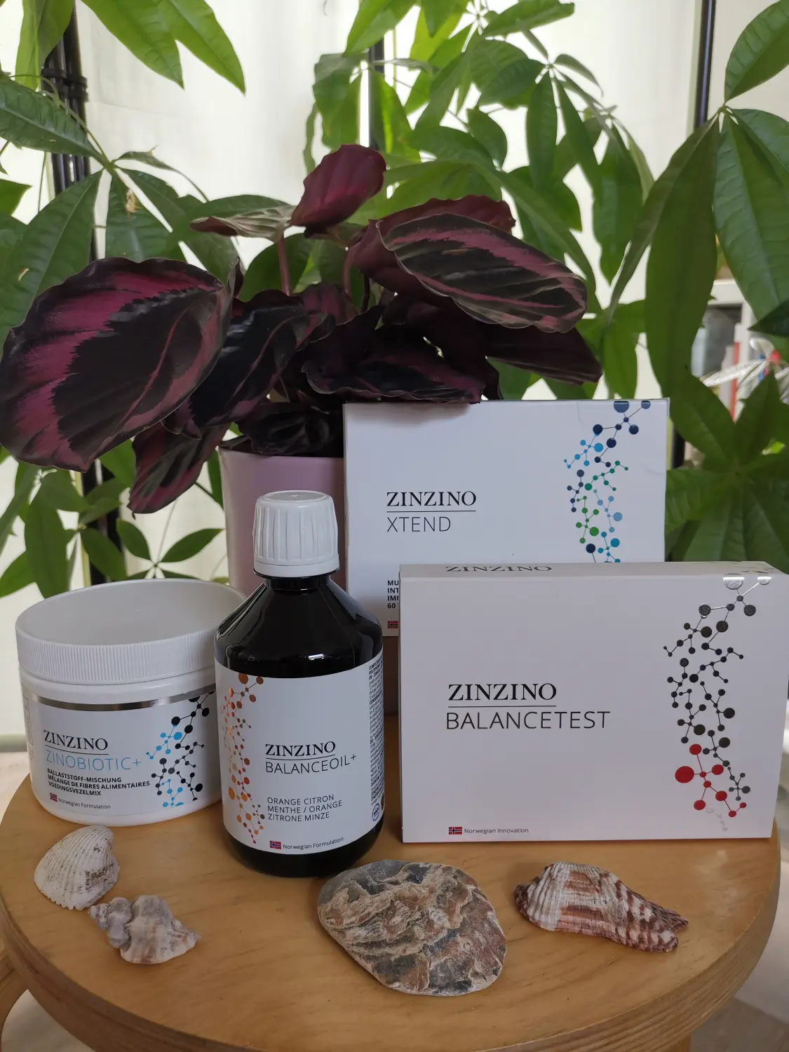 Testbasiertes Gesundheitskonzept